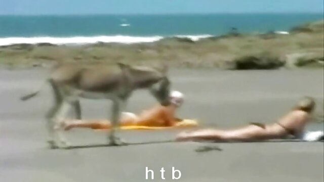 Vidéo Fille plate sexy jouant blonde sexi nue avec de gros mamelons